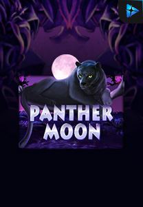 Panther Moon